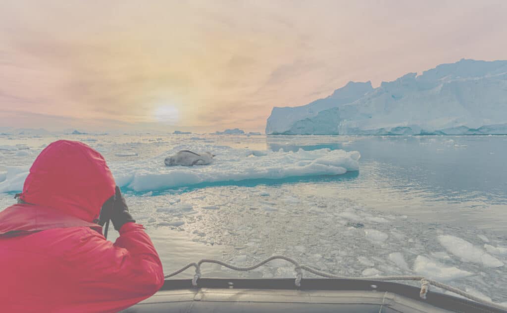 Antarctic tourists watch a leopard seal (Hydrurga leptonyx) very closely from the Zodiac on an ice floe in Cierva Cove