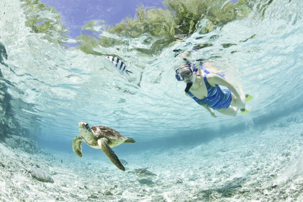French Polynesia, Bora Bora, Woman snorkelling in sea with turtles